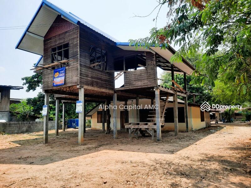 ที่ดิน พร้อมสิ่งปลูกสร้าง L4_8_0373_G01, กาฬสินธุ์, 136 ถนนบ้านหนองแคน-บ้านงิ้วงาม, ดอนจาน, ดอนจาน, กาฬสินธุ์, 165 ตร.ม., บ้านเดี่ยว ขาย, โดย Alpha Capital AMC, 11477174 - DDproperty.com
