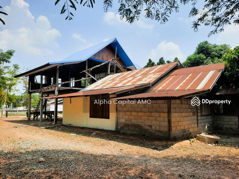 Land with building L4_8_0373_G01, Kalasin, 136 ถนนบ้านหนองแคน-บ้านงิ้วงาม, Don Chan, Don Chan, Kalasin, 2 Bedrooms, 165 sqm, Single Detached House For Sale, by Alpha Capital AMC, 11477174 - DDproperty.com