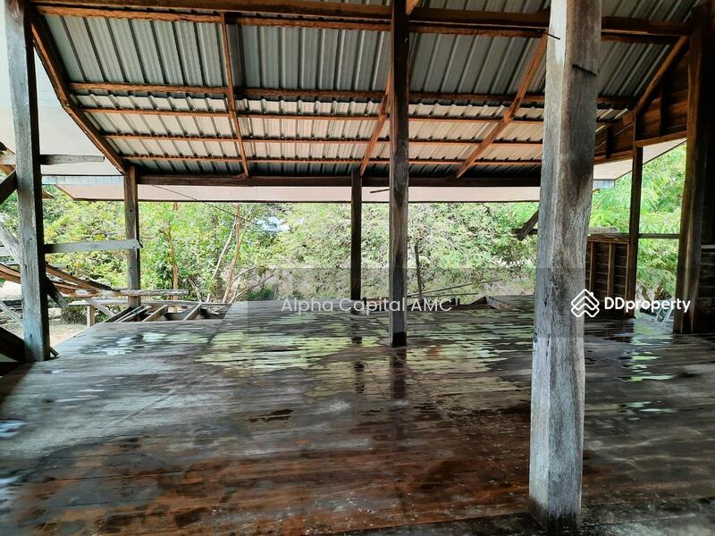 ที่ดิน พร้อมสิ่งปลูกสร้าง L4_8_0373_G01, กาฬสินธุ์, 136 ถนนบ้านหนองแคน-บ้านงิ้วงาม, ดอนจาน, ดอนจาน, กาฬสินธุ์, 165 ตร.ม., บ้านเดี่ยว ขาย, โดย Alpha Capital AMC, 11477174 - DDproperty.com