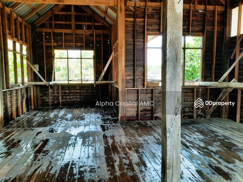 Land with building L4_8_0373_G01, Kalasin, 136 ถนนบ้านหนองแคน-บ้านงิ้วงาม, Don Chan, Don Chan, Kalasin, 2 Bedrooms, 165 sqm, Single Detached House For Sale, by Alpha Capital AMC, 11477174 - DDproperty.com