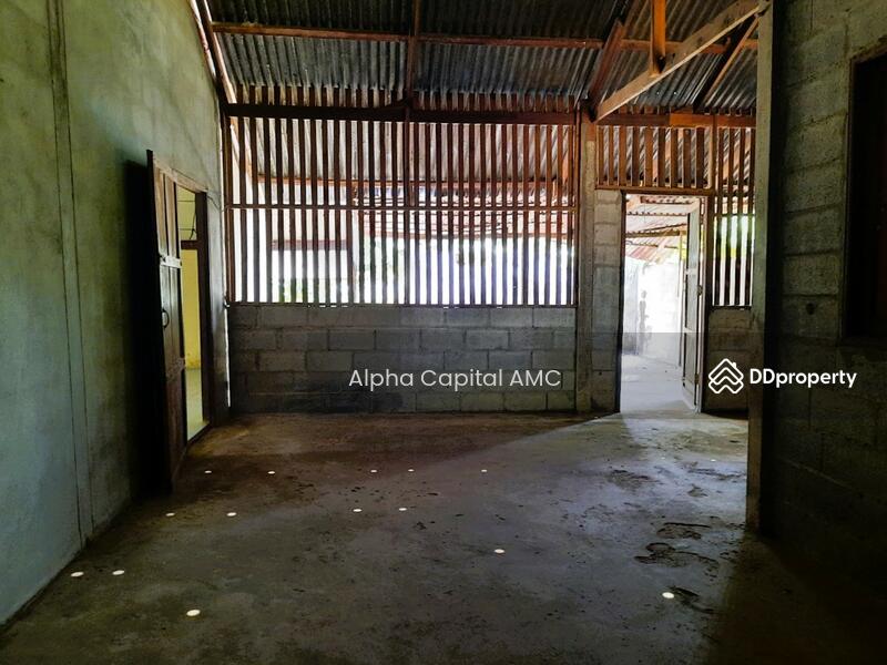 Land with building L4_8_0373_G01, Kalasin, 136 ถนนบ้านหนองแคน-บ้านงิ้วงาม, Don Chan, Don Chan, Kalasin, 2 Bedrooms, 165 sqm, Single Detached House For Sale, by Alpha Capital AMC, 11477174 - DDproperty.com