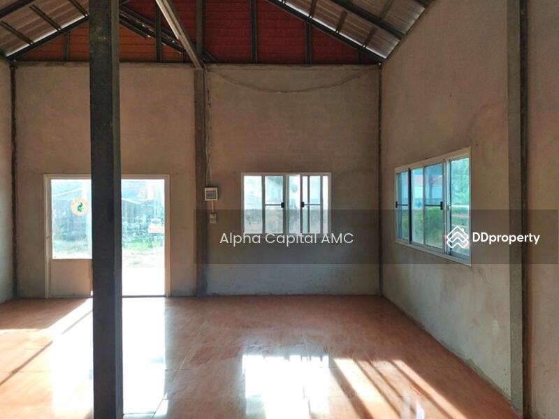 บ้านพักอาศัยชั้นเดียว L4_3_0483_G01, กาฬสินธุ์, 144 หมู่ 8 ถนนบ้านคำม่วง-บ้านนาดี, นาดี, ยางตลาด, กาฬสินธุ์, 61 ตร.ม., บ้านเดี่ยว ขาย, โดย Alpha Capital AMC, 11477283 - DDproperty.com