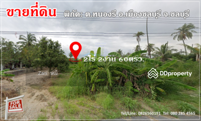 ขาย - #CYP176ขายที่ดินแปลงสวย #ติดคาเฟ่ หนองรี ชลบุรี, ชลบุรี