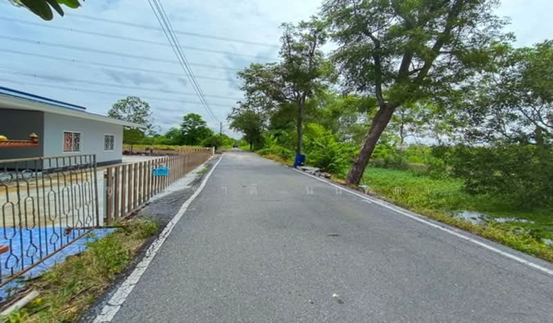 ที่ดินเปล่า หนองเสือ-คลอง 13 ซอยเกตุสิงห์, ปทุมธานี, สาย ปท.3034, หนองสามวัง, หนองเสือ, ปทุมธานี, 14,400 ตร.ม., ที่ดิน ขาย, โดย ชนะชาติ นนท์ตา, 11478228 - DDproperty.com
