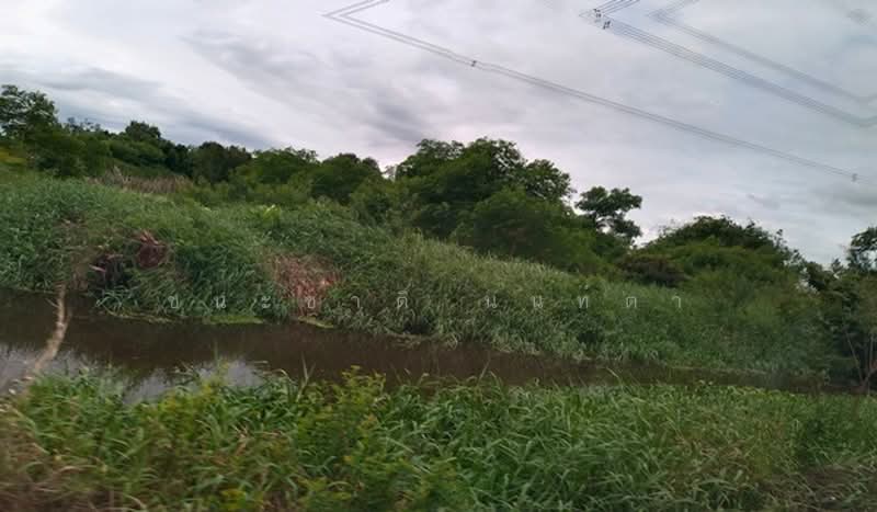 ที่ดินเปล่า หนองเสือ-คลอง 13 ซอยเกตุสิงห์, Pathum Thani, สาย ปท.3034, Nong Sam Wang, Nong Sua, Pathum Thani, , 14,400 sqm, Land For Sale, by ชนะชาติ นนท์ตา, 11478228 - DDproperty.com