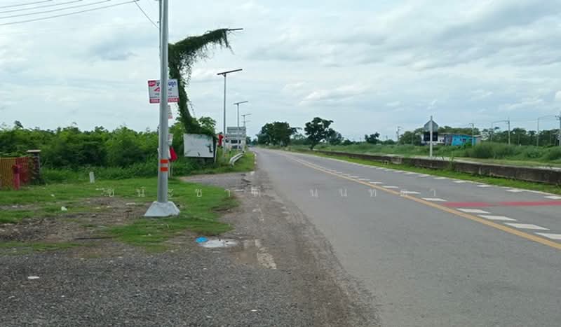 ที่ดินเปล่า หนองเสือ-คลอง 13 ซอยเกตุสิงห์, ปทุมธานี, สาย ปท.3034, หนองสามวัง, หนองเสือ, ปทุมธานี, 14,400 ตร.ม., ที่ดิน ขาย, โดย ชนะชาติ นนท์ตา, 11478228 - DDproperty.com