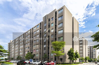 ขาย - Plum Condo Samakkhi : พลัม คอนโด สามัคคี, นนทบุรี