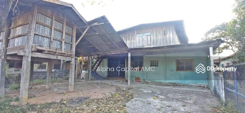 Sale 2-ST Wooden-Concrete House L4_5_0136_G01, Kalasin, 17 หมู่ 2 ถนนบ้านหนองบัว-บ้านสะอาด, Khok Sa-at, Kong Chai, Kalasin, 2 Bedrooms, 292 sqm, Single Detached House For Sale, by Alpha Capital AMC, 11479133 - DDproperty.com