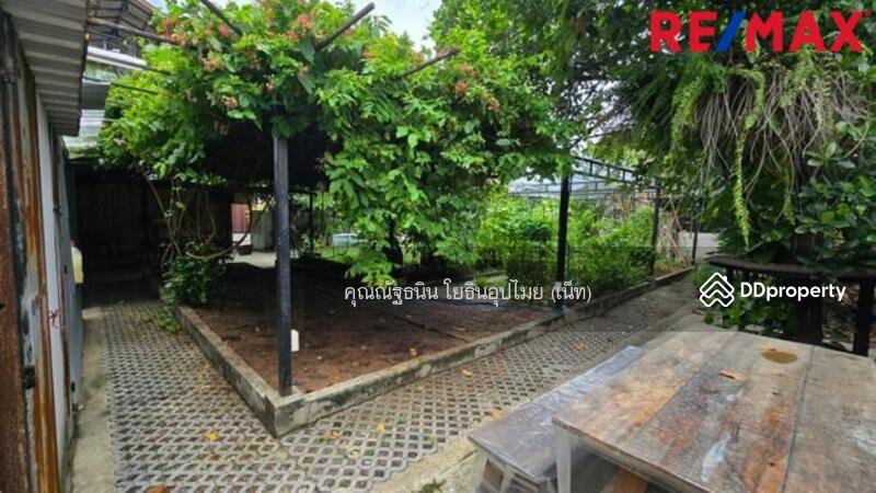 ขายที่ดิน ลาดพร้าว ซ.81 แปลงมุมใน ที่ดินถมแล้ว นานกว่า (10 ปี+) ดิน Set ตัวดีแล้ว, กรุงเทพ, ลาดพร้าว, คลองเจ้าคุณสิงห์, วังทองหลาง, กรุงเทพ, 396 ตร.ม., ที่ดิน ขาย, โดย คุณณัฐธนิน โยธินอุปไมย (เน็ท), 11480045 - DDproperty.com