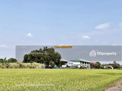 ขาย - ขายที่ดินพร้อมสิ่งปลูกสร้างหอพัก ต.คลองหก อ.คลองหลวง จ.ปทุมธานี เนื้อที่ 10 ไร่ ขายถูกยกแปลง 10 ลบ., ปทุมธานี