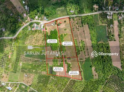 ขาย - ขายที่ดิน - เชียงใหม่ 34 ไร่ มีโฉนด : Land for sale Chiang Mai, 34 rai, เชียงใหม่