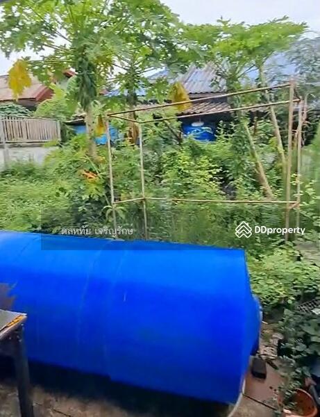 ขาย - อำเภอเมือง บุรีรัมย์, บุรีรัมย์