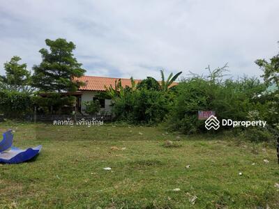 ขาย - เมืองบุรีรัมย์ บุรีรัมย์, บุรีรัมย์