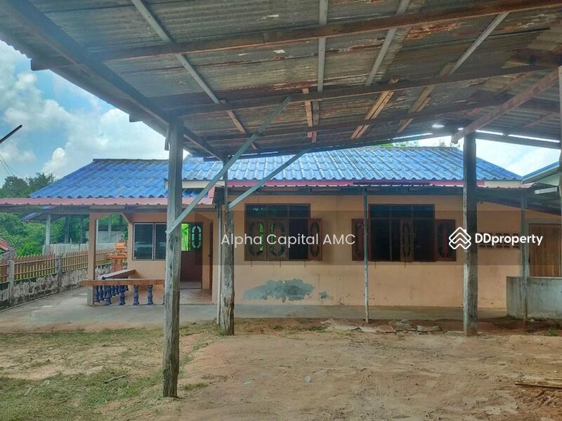 ขายบ้านชั้นเดียว L4_4_0586_G01, กาฬสินธุ์, 37/11 ถนนขอนแก่น-ยางตลาด (12), ยางตลาด, กาฬสินธุ์, 203 ตร.ม., บ้านเดี่ยว ขาย, โดย Alpha Capital AMC, 11481888 - DDproperty.com