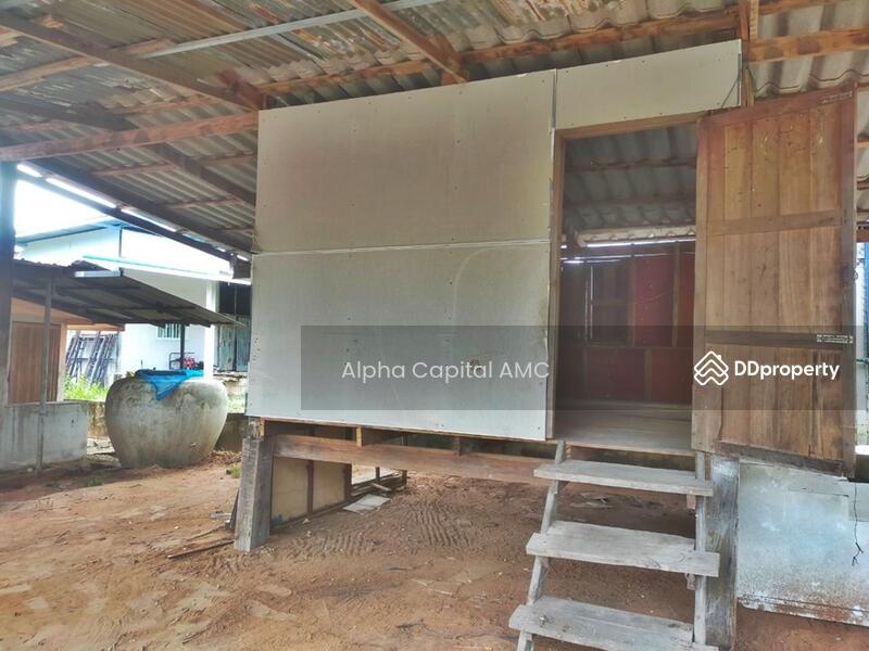 Sale 1-storey detached house L4_4_0586_G01, Kalasin, 37/11 ถนนขอนแก่น-ยางตลาด (12), Yang Talat, Kalasin, 2 Bedrooms, 203 sqm, Single Detached House For Sale, by Alpha Capital AMC, 11481888 - DDproperty.com