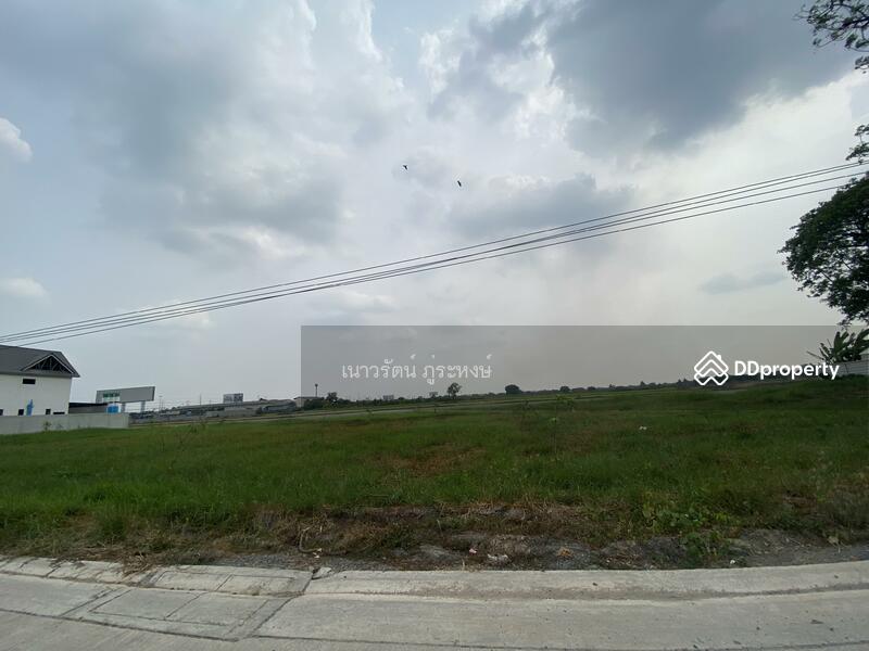 ขาย - ลำลูกกา คลอง 5, ปทุมธานี