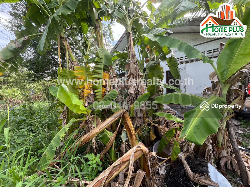 For Sale - The Base Height Korat, Nakhon Ratchasima