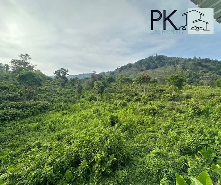 5R0600 Pool villa for rent 4bedroom 3bathroom 120,000/month at kathu have fully furnished, Phuket, Kathu, Kathu, Phuket, 4 Bedrooms, 250 sqm, Villa For Rent, by PK LIFE Property, 11484303 - DDproperty.com