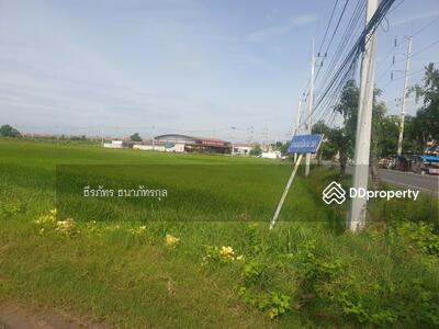 ขาย - ขายที่ดิน 29 ไร่1 งาน 32 ตรว. พุทธมณฑล จ.นครปฐม, นครปฐม