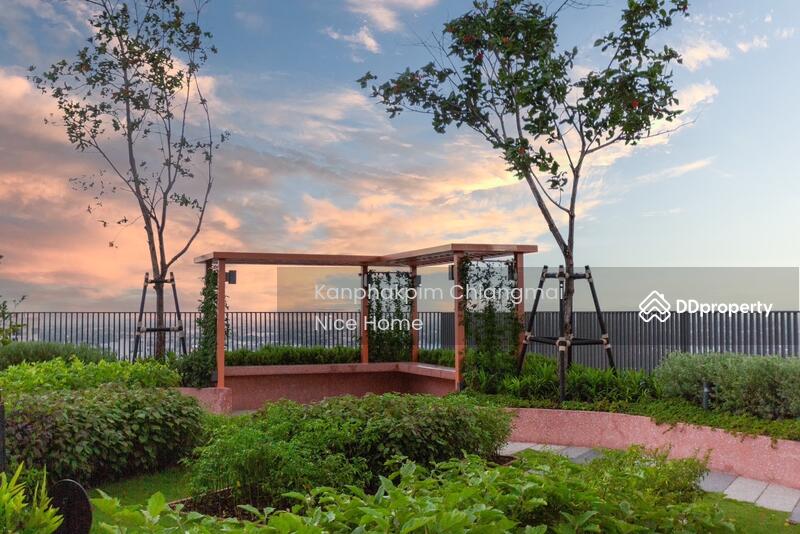 The Base Height-Chiang Mai : เดอะ เบส ไฮท์-เชียงใหม่, เชียงใหม่, วัดเกต, เมืองเชียงใหม่, เชียงใหม่, 54 ตร.ม., คอนโด ให้เช่า, โดย Kanphakpim Chiangmai Nice Home, 11484698 - DDproperty.com