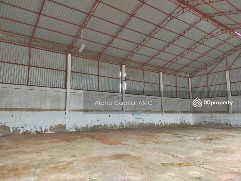 บ้านเดี่ยว 1 ชั้น และโกดัง L4_3_0303_G01, Buri Ram, Sri Sawang, Na Pho, Buri Ram, , 1,224 sqm, Warehouse/Factory For Sale, by วารุณี จำรูญนุรักษ์, 11484824 - DDproperty.com