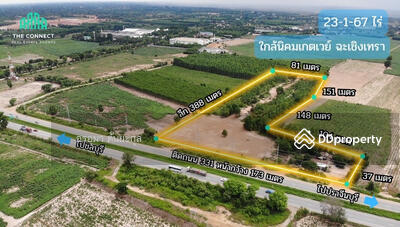 ขาย - ขายที่ดิน ติดถนน 331 หน้ากว้าง 173 เมตร,พนัสนิคม,ชลบุรี, ชลบุรี