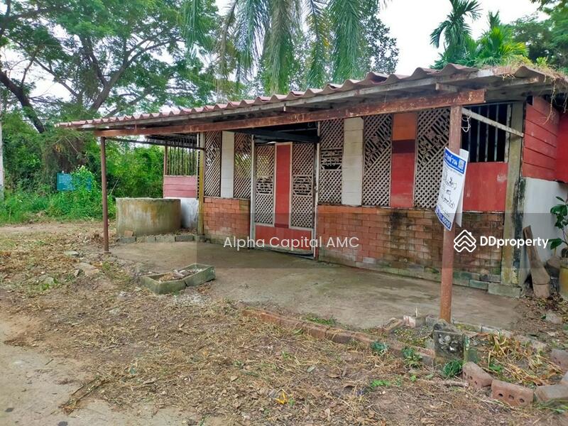 บ้านพักอาศัยตึกชั้นเดียว L4_7_0512_G01, Kalasin, Yang Talat, Kalasin, 1 Bedroom, 173 sqm, Single Detached House For Sale, by Alpha Capital AMC, 11486574 - DDproperty.com