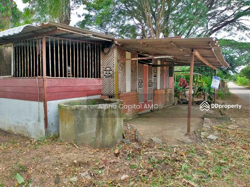 บ้านพักอาศัยตึกชั้นเดียว L4_7_0512_G01, กาฬสินธุ์, ยางตลาด, กาฬสินธุ์, 173 ตร.ม., บ้านเดี่ยว ขาย, โดย Alpha Capital AMC, 11486574 - DDproperty.com