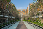 InterContinental Residences Hua Hin : อินเตอร์คอนติเนนตัล เรสซิเดนเซส ชะอำ, ประจวบคีรีขันธ์