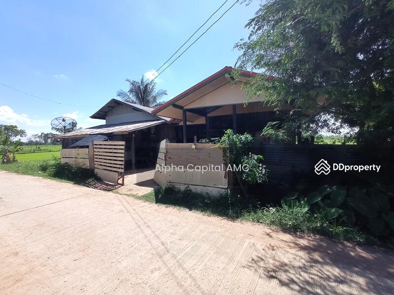 ขายบ้านพักอาศัยครึ่งปูนครึ่งไม้ 2 ชั้น L4_5_0607_G01, กาฬสินธุ์, 203 ถนนยางตลาด-โพนทอง (2116), หนองแปน, กมลาไสย, กาฬสินธุ์, 178 ตร.ม., บ้านเดี่ยว ขาย, โดย Alpha Capital AMC, 11486759 - DDproperty.com