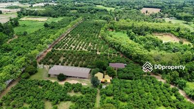 ขาย - ที่ดิน ตำบลฝายแก้ว อำเภอเมืองน่าน, น่าน