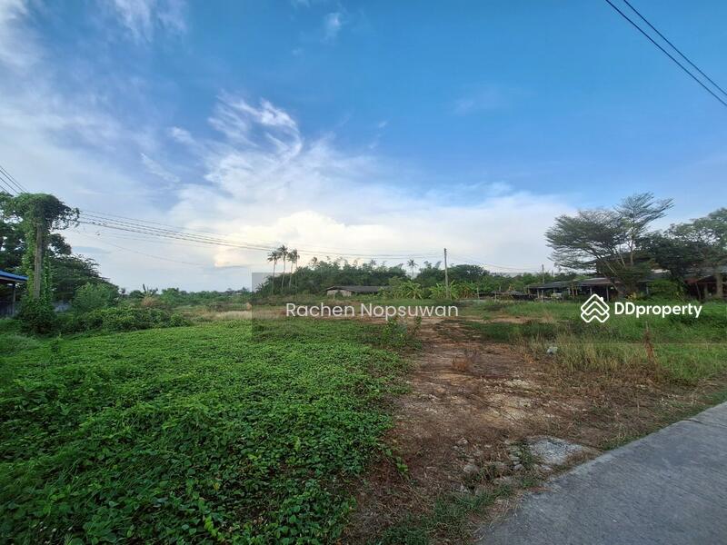 ขาย - ซอยรางยอ 3 ตำบล โพรงมะเดื่อ อำเภอเมืองนครปฐม นครปฐม 73000, นครปฐม