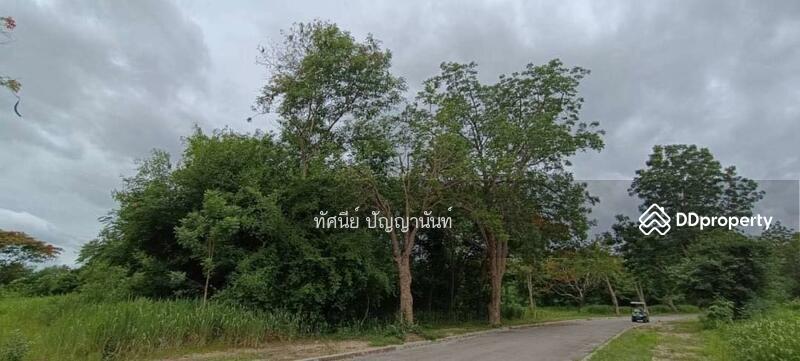 หมู่ 2 ตำบลสามพระยา อำเภอชะอำ เพชรบุรี 76120, เพชรบุรี, สามพระยา, ชะอำ, เพชรบุรี, 3,347 ตร.ม., ที่ดิน ขาย, โดย ทัศนีย์ ปัญญานันท์, 11490762 - DDproperty.com