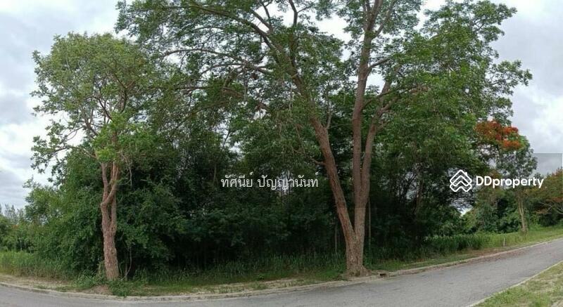 หมู่ 2 ตำบลสามพระยา อำเภอชะอำ เพชรบุรี 76120, เพชรบุรี, สามพระยา, ชะอำ, เพชรบุรี, 3,347 ตร.ม., ที่ดิน ขาย, โดย ทัศนีย์ ปัญญานันท์, 11490762 - DDproperty.com