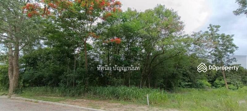 หมู่ 2 ตำบลสามพระยา อำเภอชะอำ เพชรบุรี 76120, Phetchaburi, Sam Phraya, Cha-Am, Phetchaburi, , 3,347 sqm, Land For Sale, by ทัศนีย์ ปัญญานันท์, 11490762 - DDproperty.com