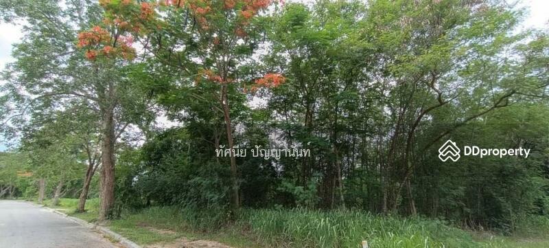 หมู่ 2 ตำบลสามพระยา อำเภอชะอำ เพชรบุรี 76120, เพชรบุรี, สามพระยา, ชะอำ, เพชรบุรี, 3,347 ตร.ม., ที่ดิน ขาย, โดย ทัศนีย์ ปัญญานันท์, 11490762 - DDproperty.com
