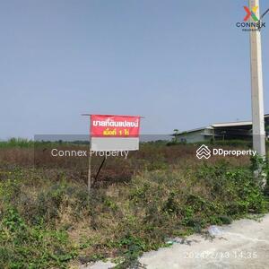 ขาย - Vacant land 1 rai, Lat Lum Kaeo ที่ดินเปล่า 1 ไร่ ลาดหลุมแก้ว, ปทุมธานี