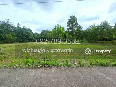 ขาย - ที่ดินเรณูนคร นครพนม 4-2-20 ไร่, นครพนม