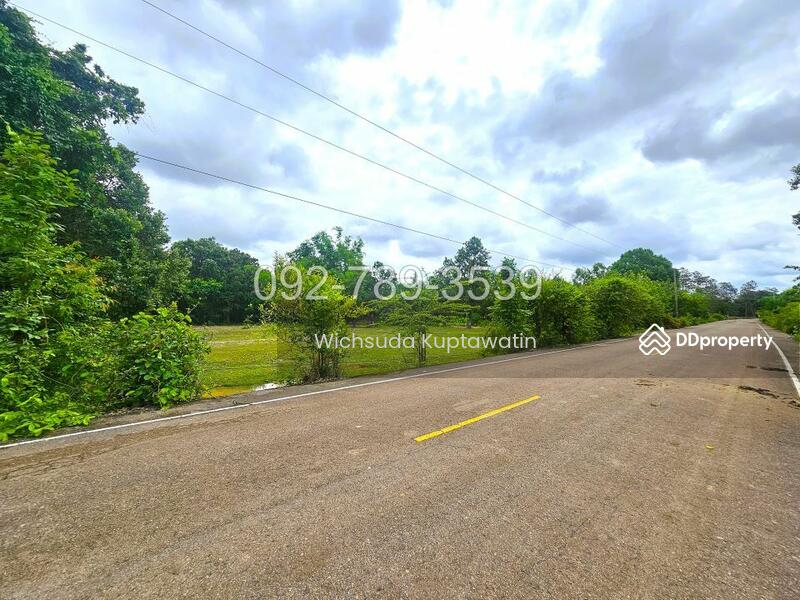 ขาย - ที่ดินเรณูนคร นครพนม 4-2-20 ไร่, นครพนม