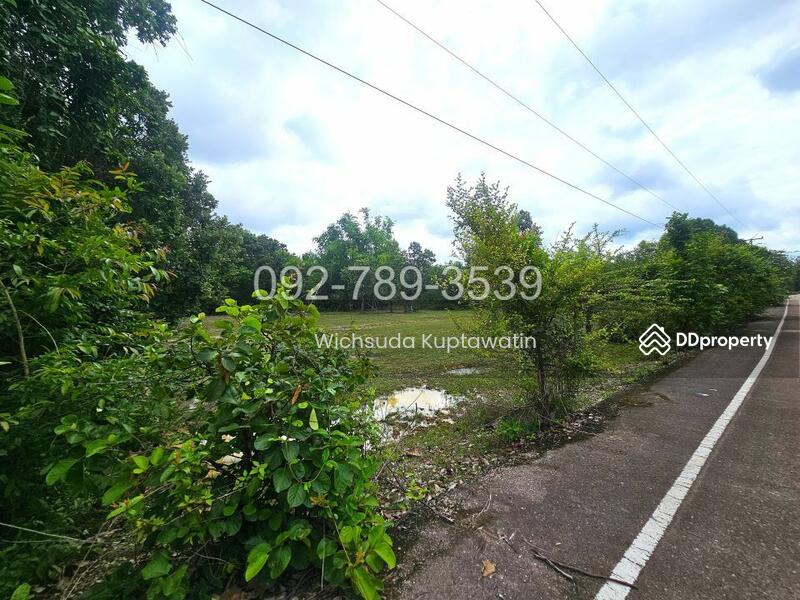 ขาย - ที่ดินเรณูนคร นครพนม 4-2-20 ไร่, นครพนม