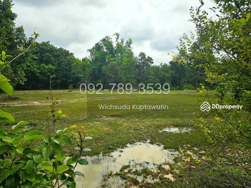 ขาย - ที่ดินเรณูนคร นครพนม 4-2-20 ไร่, นครพนม