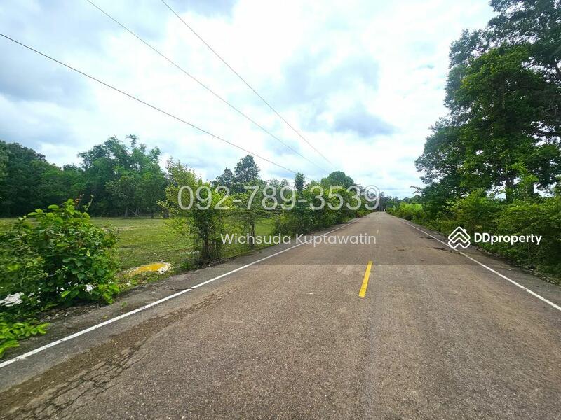 ขาย - ที่ดินเรณูนคร นครพนม 4-2-20 ไร่, นครพนม