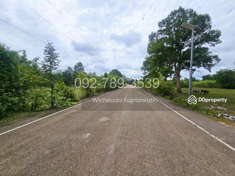 ขาย - ที่ดินเรณูนคร นครพนม 4-2-20 ไร่, นครพนม