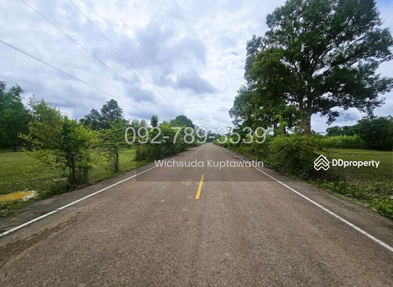 ขาย - ที่ดินเรณูนคร นครพนม 4-2-20 ไร่, นครพนม