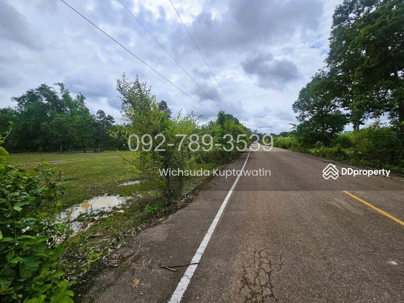 ขาย - ที่ดินเรณูนคร นครพนม 4-2-20 ไร่, นครพนม