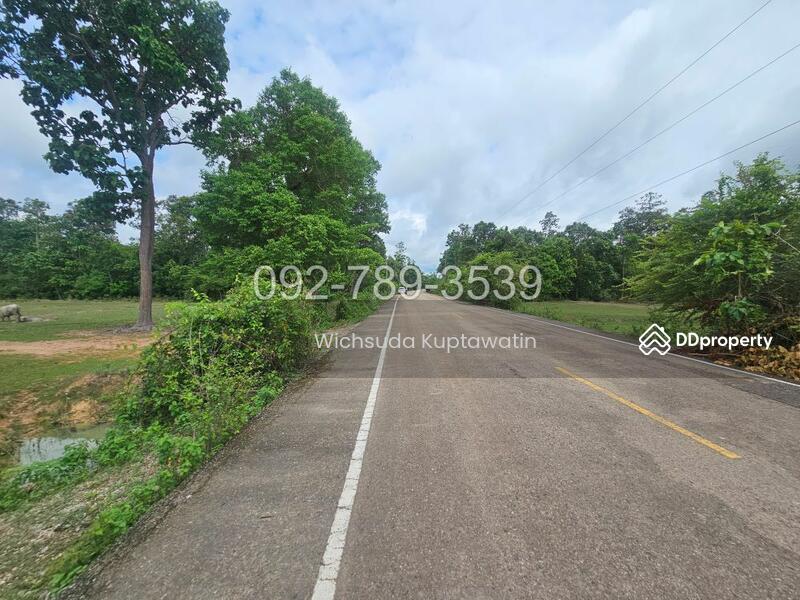 ขาย - ที่ดินเรณูนคร นครพนม 4-2-20 ไร่, นครพนม