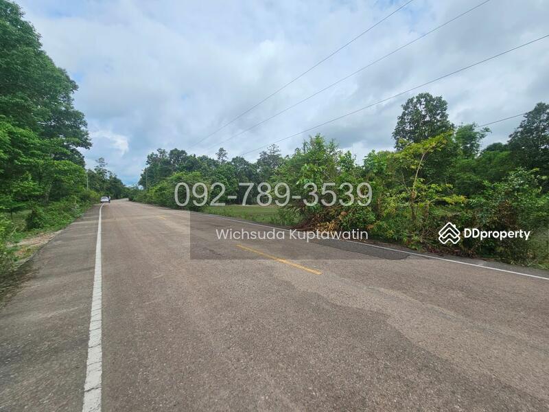 ขาย - ที่ดินเรณูนคร นครพนม 4-2-20 ไร่, นครพนม
