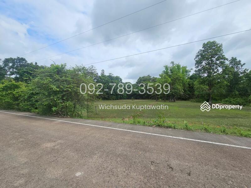 ขาย - ที่ดินเรณูนคร นครพนม 4-2-20 ไร่, นครพนม