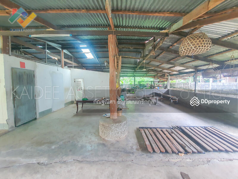 For Sale - Ban Kung Chai, Amnat Charoen