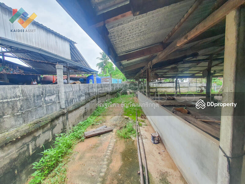 For Sale - Ban Kung Chai, Amnat Charoen